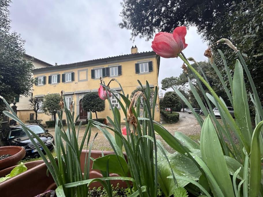 Apartamento Residenza Storica In Palazzo Bruciato