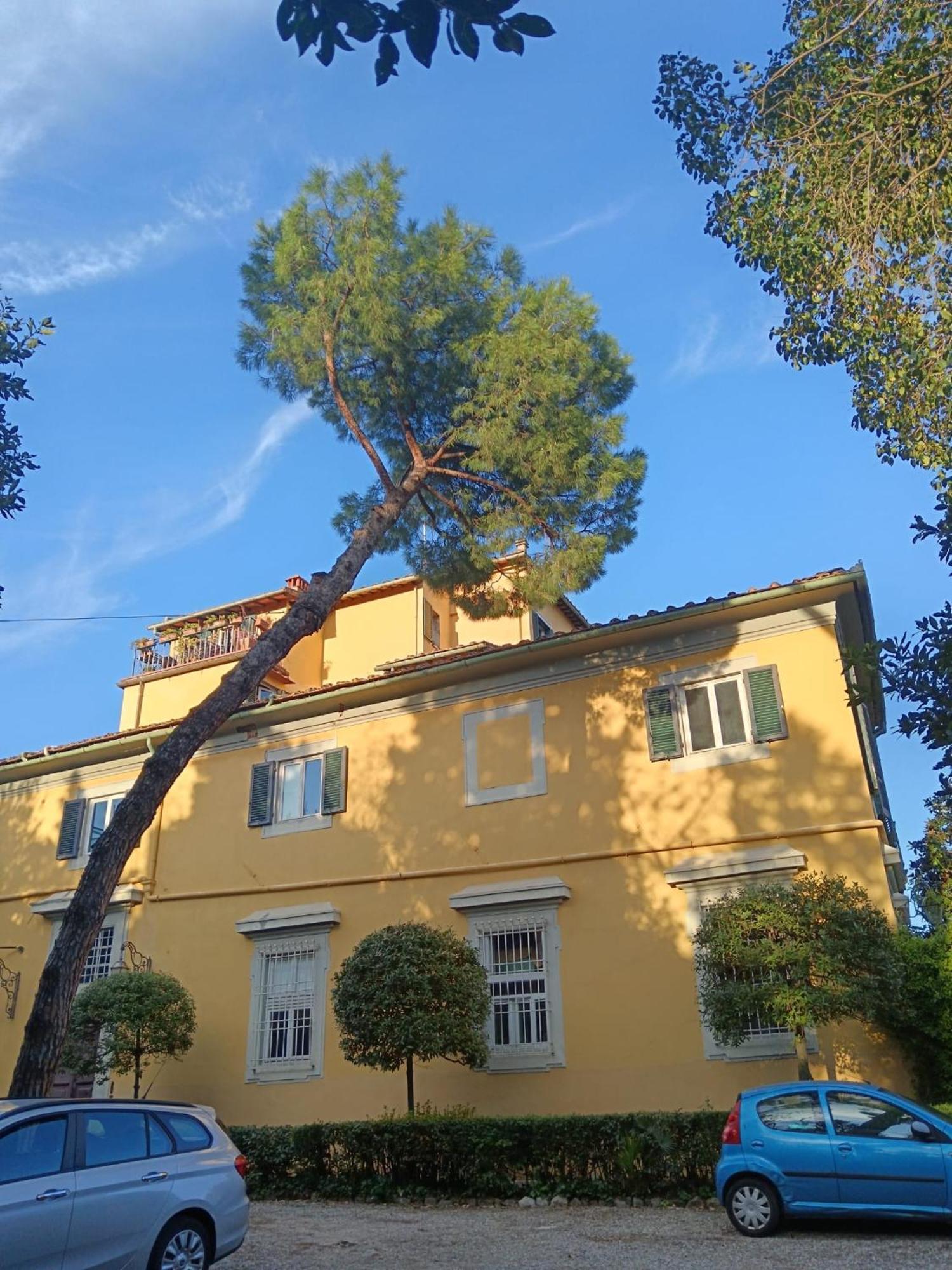 Residenza Storica In Palazzo Bruciato * Florencia